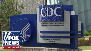 Fox News panel sounds off on report teachers union influenced CDC guidelines [upl. by Alliuqaj]