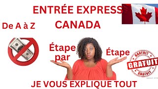 La résidence permanente pour l’immigration canadienne a travers l’entrée express expliqué de a à z [upl. by Adnir624]