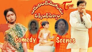 Edurinti Mogudu Pakkinti Pellam Movie Comedy Scenes  Back to Back  Rajendra Prasad  Divyavani [upl. by Owain]