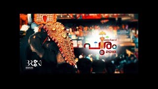 Mannarkkad pooram 2018 video 8 [upl. by Ecarg76]