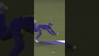 Virat Kohli Great Catch against South Africa cricket shorts [upl. by Myna881]