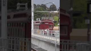 First Heritage Trains Through the New Croydon Station  Steamrails 2024 Lilydale Shuttles [upl. by Dalury]