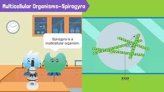 Cells Unicellular Organisms and Multicellular Organisms [upl. by Ayhtak]