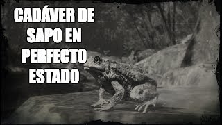 Red Dead Redemption 2 – ¿Cómo conseguir un cadáver de un sapo en perfecto estado Toad Carcass [upl. by Ahsinam404]