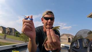 5 EASY ways to rig a Stick Worm [upl. by Power]