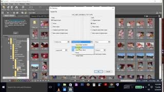 Rename or Edit photo to get date in file name using EXIF data Using Nikon View NX2 [upl. by Llyrrad]