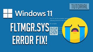 How To Fix FLTMGRSYS Blue Screan of Death Error In Windows 1110 2024 [upl. by Winterbottom]