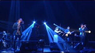 逗子三兄弟  マイベイビー 〜好きになればなるほど〜 LIVE at 赤坂BLITZ [upl. by Clementine]