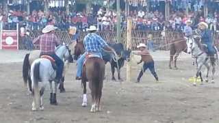 Primer corrida Feria Tizimin 2014 P 2 [upl. by Huggins]