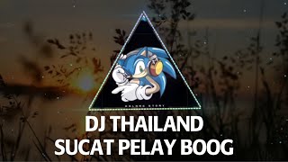 DJ THAILAND VIRAL  SUCAT PELAY BOOG REMIX [upl. by Enyrhtak]