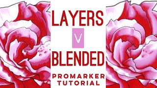 How to Layer and Blend markers  Promarker drawing and tutorial [upl. by Magavern362]