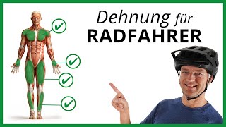 Die 4 BESTEN DEHNÜBUNGEN für Radfahrer Unbedingt beachten [upl. by Dickinson491]