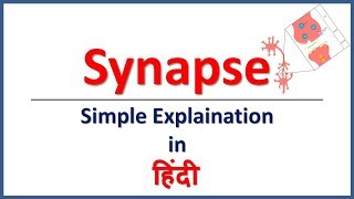 Synapse amp Its Types Simple explaination in Hindi  Bhushan Science [upl. by Holland]