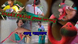 SNAKE PRANK GONE WRONG 🤣 😥😥nmahilaryofficial [upl. by Nimrak]