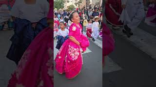 Baile marinera en PASACALLE DIA NACIONAL DE LA MARINERA 2024 TACNA PERU danza tacna shorts [upl. by Annalee592]