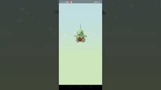 Hatching a 12km egg quotLarvitarquot in Pokemon Go [upl. by Yentterb]