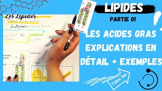 📣1 Les Lipides Partie1 Les Acides Gras explication en détail  des exemplesاقوى مراجعة لللبيدات [upl. by Ly]