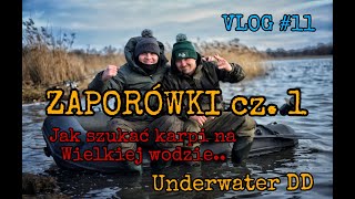 Dzierżno Duże Zaporówka cz1  Jak szukać karpie na Zaporówce  Vlog 11 UNDERWATER Dzierżno Duże [upl. by Solokin524]