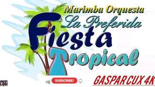 fiesta tropicalmix caminantes 5 🎼🎼🎶🎵 [upl. by Arihaz166]