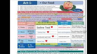 Digestion BiologyG9 Lecture2 [upl. by Lawtun393]