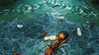 One Fire Ants Vs Three Black Ants Impossible Mode Empires Of The Undergrowth [upl. by Sayers982]