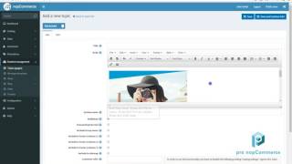 Setting Up Pro nopCommerce Themes [upl. by Enisamoht]