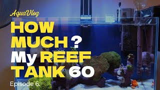 60L reef tank How much Episode 6 [upl. by Alessandra]