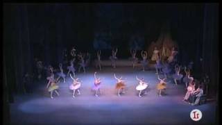 BALLET DEL TEATRO BOLSHOI DE MOSCÚ 19992000 [upl. by Leiser]