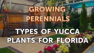 Types of Yucca Plants for Florida [upl. by Hillari793]