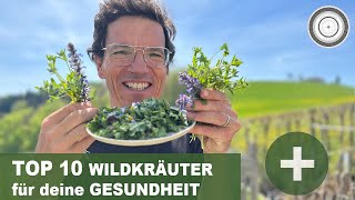 DIE TOP 10 WILDKRÄUTER und HEILKRÄUTER in deinem Garten  SEHEN UND ERKENNEN [upl. by Myriam]