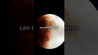 quotAmazing Eclipse Facts Solar amp Lunar Eclipses Explained 🌕🌞quot [upl. by Corson]