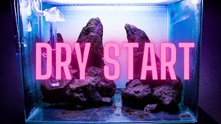 Dry Start Method  HOW TO Grow aquarium moss on your HARDSCAPE [upl. by Chariot]