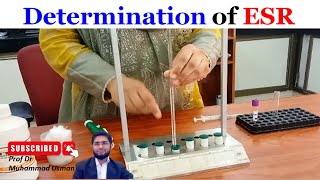 Determination of Erythrocyte Sedimentation Rate ESR  ESR measurement  Physiology practical [upl. by Ainesej695]