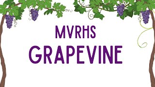 Grapevine 1111 [upl. by Eniarol811]