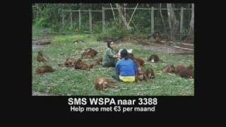 Commercial WSPA Orangutan Lieke van Lexmond ambassadrice [upl. by Eneirda690]