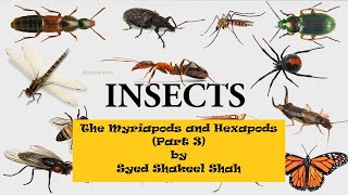 THE HEXAPODS AND MYRIAPODS Insects Part 2 I Invertebrate Diversity I Miller and Harley Chapter 15 [upl. by Lawan865]