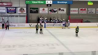 Edina BB1W vs Brookings [upl. by Attenborough]