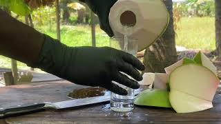 Coconut Drink Recipes EXPERT Shares Top 2024 Secrets [upl. by Lodge]