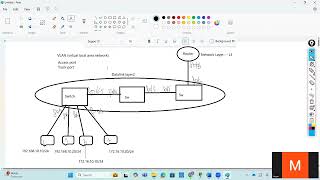 What is VLAN Types of VLAN Virtual LAN working Behavior Switch working Behavior amp configuration [upl. by Annavoig]