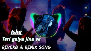 Teri gelya jina sa galya mar jaungi  Ishq Slowed amp Reverb  haryanvi song  lofi [upl. by Ecirbaf]