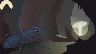 How Ants Learned to Control Fungus [upl. by Virgie956]