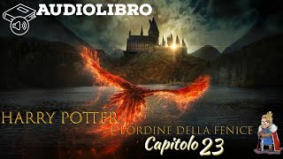 Audiolibro  Harry Potter e lordine della fenice  Lettura e Commento Cap 23 [upl. by Eniamraj129]