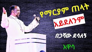 በጋሻው ደሳለኝ  የማርያም ጠላት አይደለሁም  begashaw desalegn in hawasa [upl. by Odanref447]