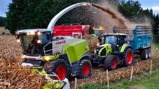 Ensilage 2023 Claas 960 [upl. by Kenn200]