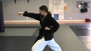 Tae Kwon Do DoSan Tutorial Full length [upl. by Deaner]