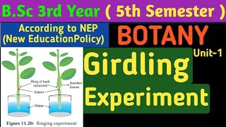 BSc 3rd Year 5th Semester Botany Unit 1Girdling Experiment in HindiRinging Experiment in Hindi [upl. by Roche]