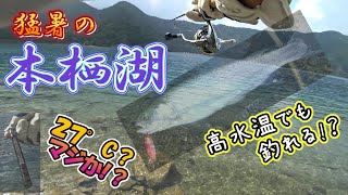 猛暑の本栖湖🥵高水温で出したニ尾の釣果🎣本栖湖ブルーバックレインボー🌈第五弾トラウトルアーＦスプーンの釣りLake MotosuBlueback Rainbow Trout 釣行日202487 [upl. by Sheryl432]