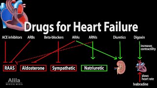 Pharmacology Drugs for Heart Failure Animation [upl. by Althea555]