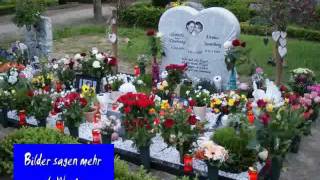 Dani amp Dennis RIP  in Gedanken bei euch [upl. by Buchbinder]