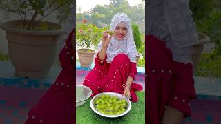 Sour fruit pickle টক ঝাল মিষ্টি আমড়ার আচার recipe shorts trending [upl. by Peti740]